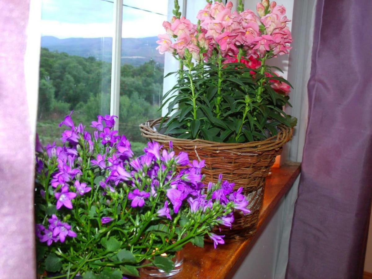 Tranquil Apartment Near Kenmare Lamanagh Екстер'єр фото