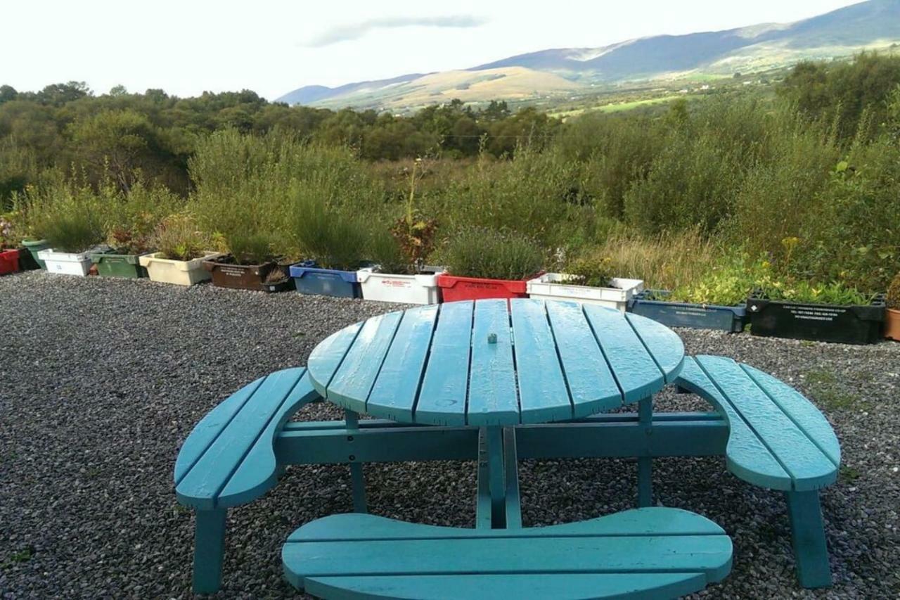 Tranquil Apartment Near Kenmare Lamanagh Екстер'єр фото